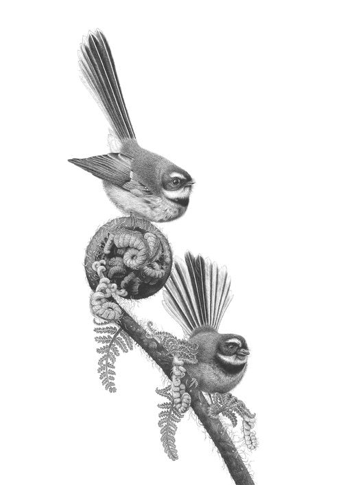 Fantail Friends (pīwakawaka/fantail) - A3